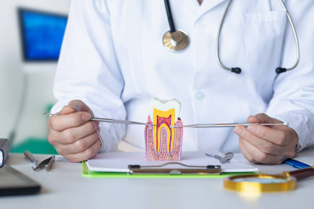 Best Pediatric Emergency Dentist in Barrett, TX